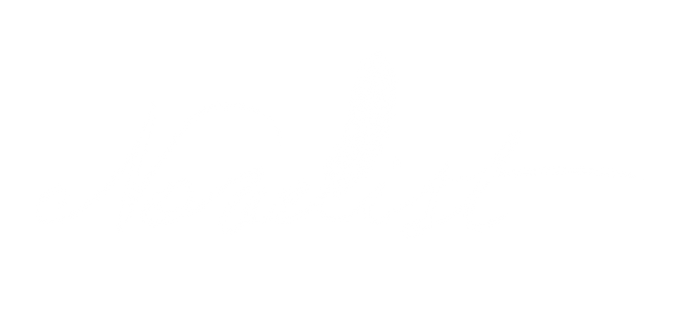 Novelist Music Group intro