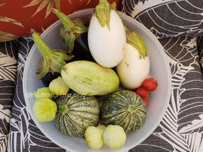Why I Garden