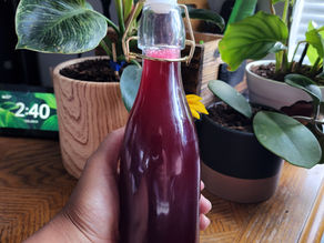 Jamaican Sorrel