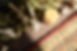 2024_Feb_WildOracle_SetupDetails_0018.JPG