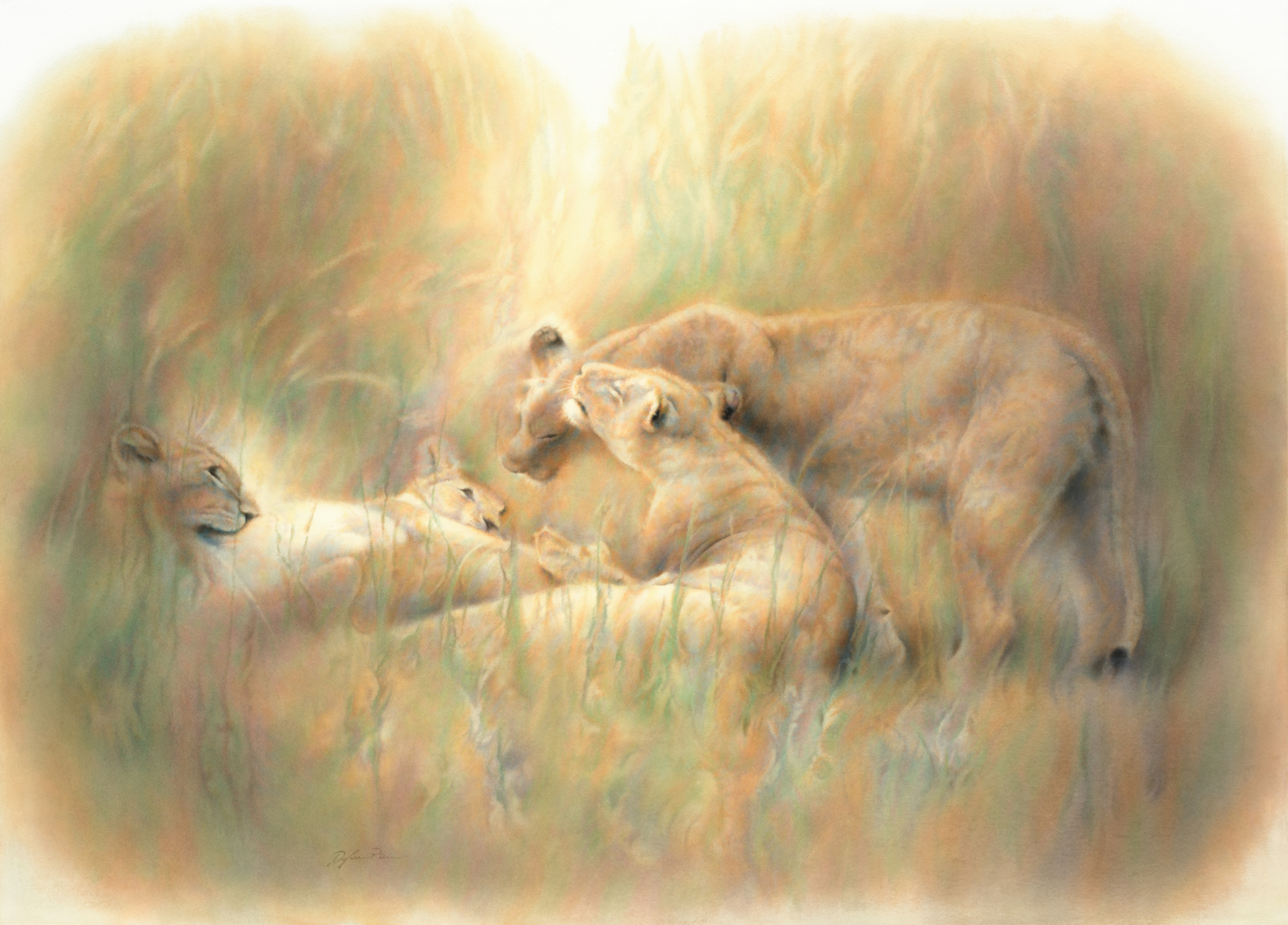 Okavango Harmony