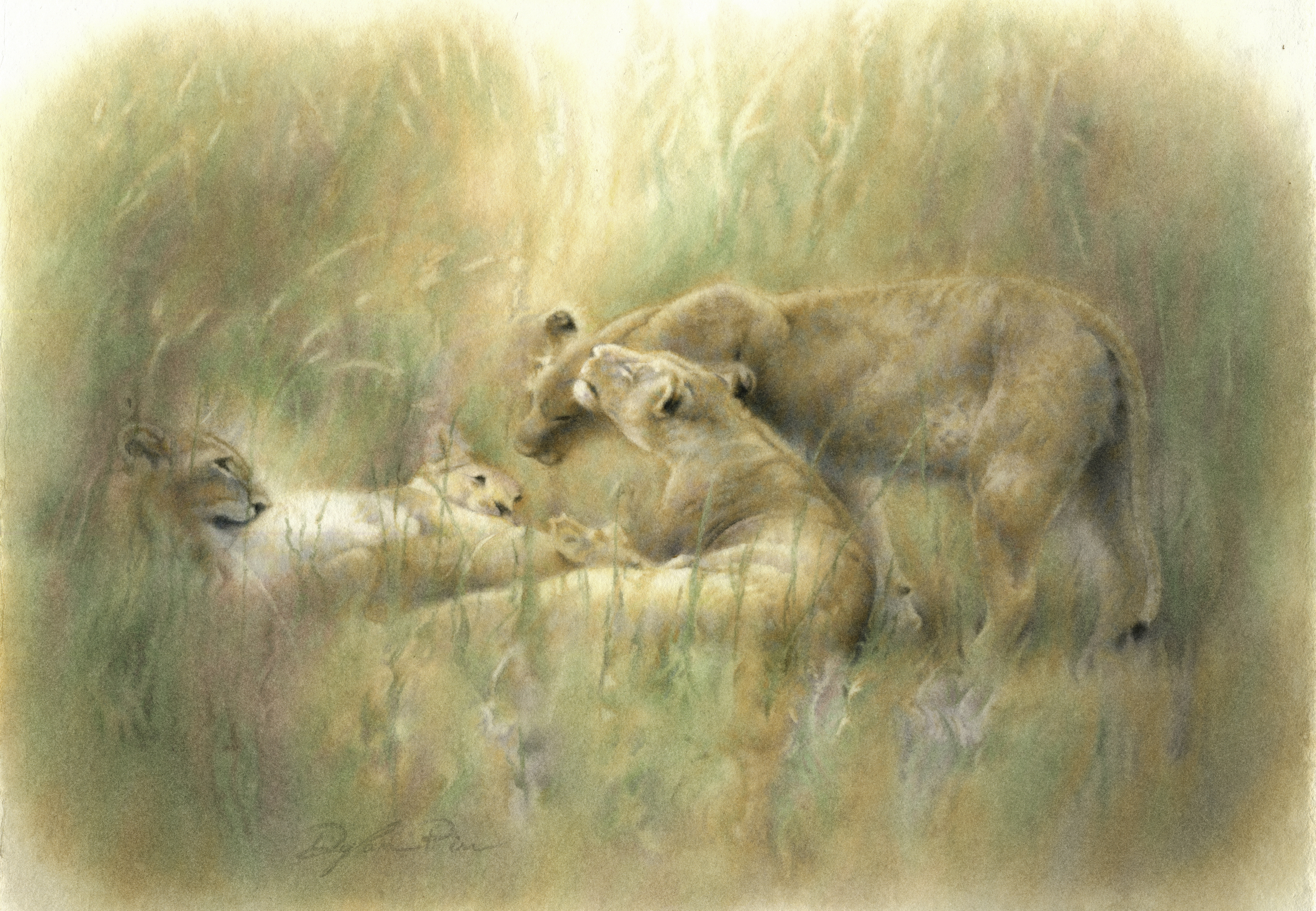 Okavango Harmony