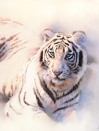 White Tiger_edited_edited.jpg