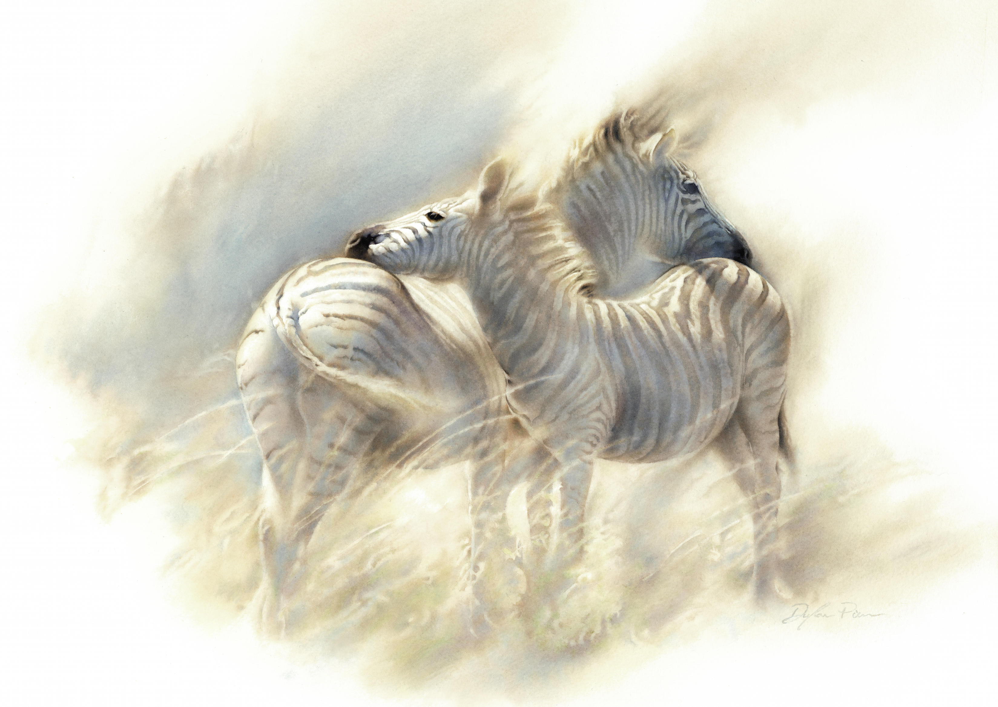 Zululand Zebras