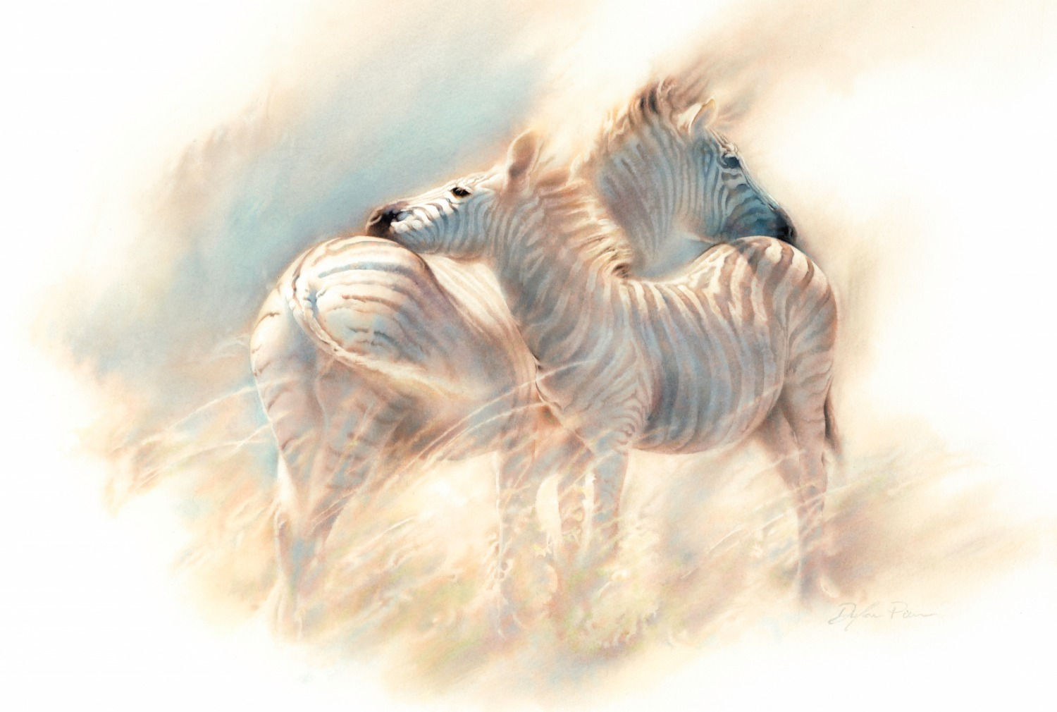 Zululand Zebras