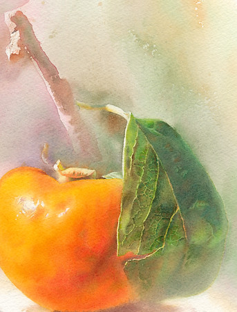 Persimmon Sm.jpg