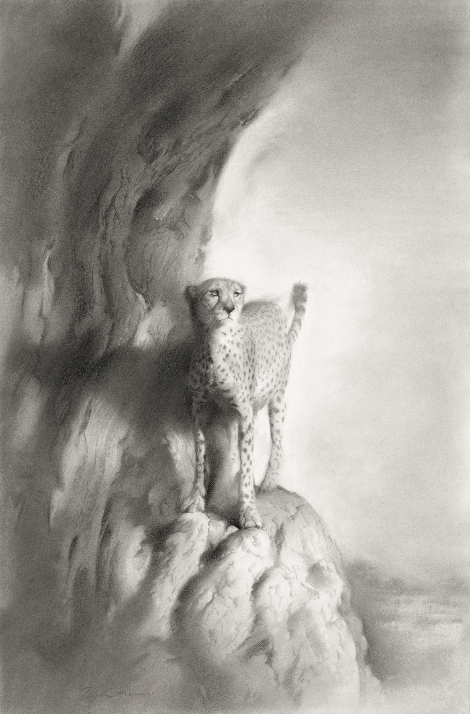 Solitary Sentinel