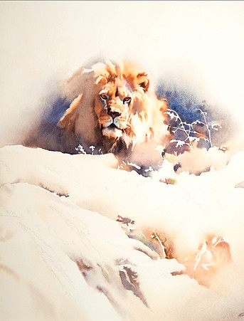 lion3_edited_edited.jpg