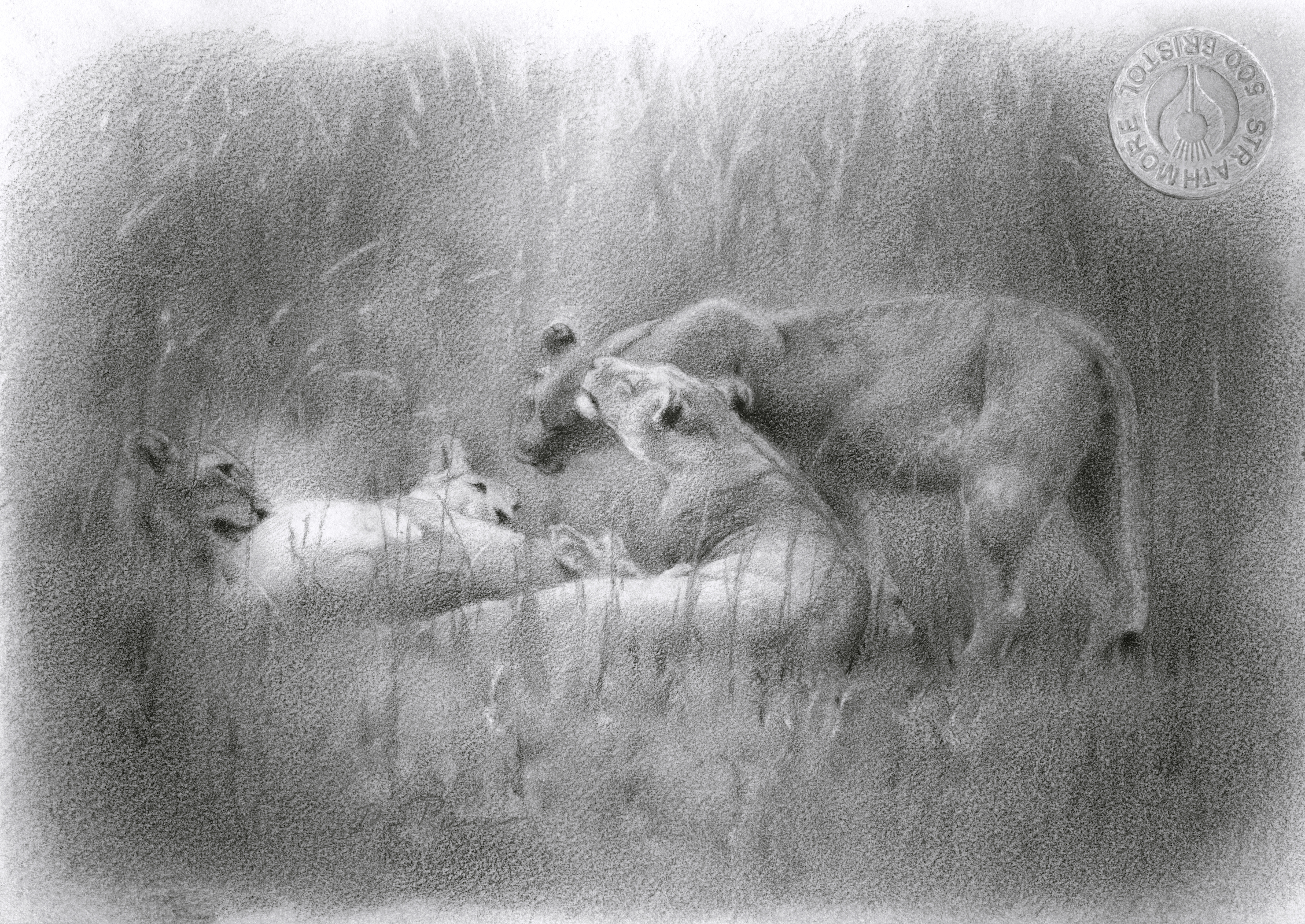 Okavango Harmony
