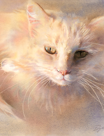 Pierce, Cat.jpg