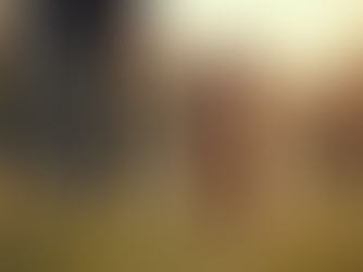 Bonnie's Dog Obedience School: A Closer Look at Dog Obedience Training Aspley