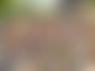 How to Properly Introduce Puppies On-Leash: A Guide to Holding Your Ground by Master Puppy trainer - Peter Bonney