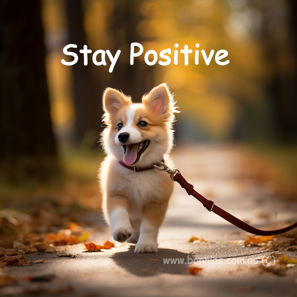 Be Positive