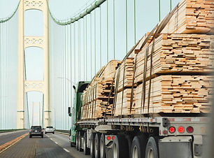 2 by 4 flatbed cropped.jpg
