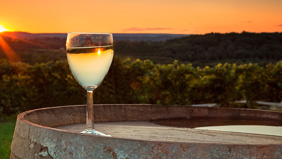A picturesque view of wineries in Pahrump's wine country with mountains in the background.
