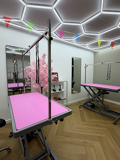 Hundesalon City Groomer Berlin Pankow