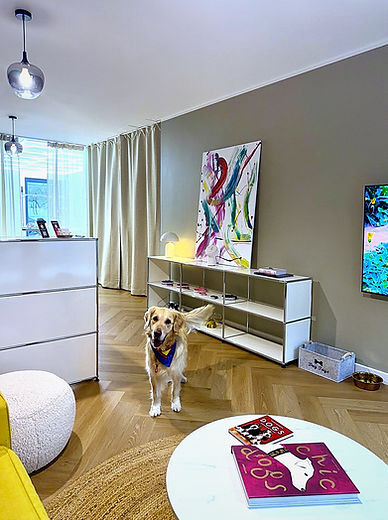 Hundesalon City Groomer Berlin Pankow