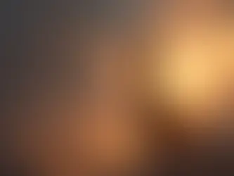 The Woman Who Came with the Sun