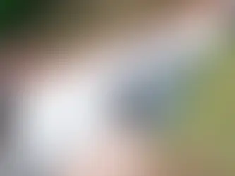 Mulheres ficam presas em veículo após capotamento na BR-230, em Itaituba | PA