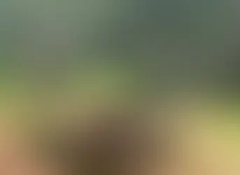 Homem é morto e tem corpo jogado em poço, no sudeste do Pará