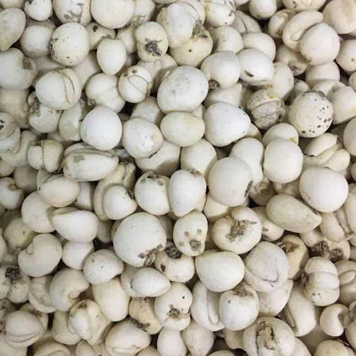 Dried Fritillary 100G*30