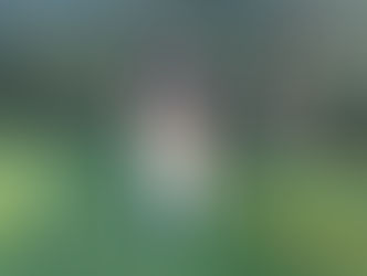 Bo | American Akita | South Pasadena, CA | In-Training