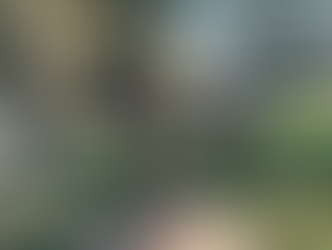 Catahoula | Catahoula Leopard Dog | Arcadia, CA | In-Training