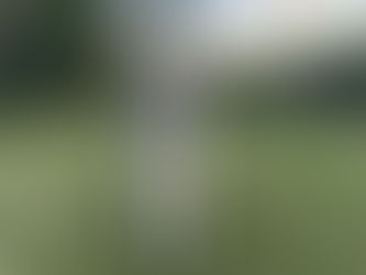 Rook | Husky/Shepherd Mix | Los Angeles, CA | In-Training