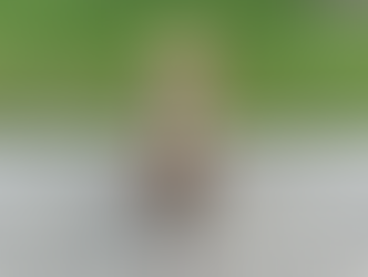 Socks | Pit Bull/ Hound Mix | Manhattan Beach, CA | In-Training