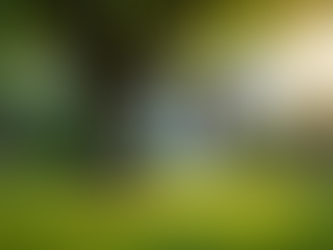 Boost Your Tree Service Leads with Cold Emails