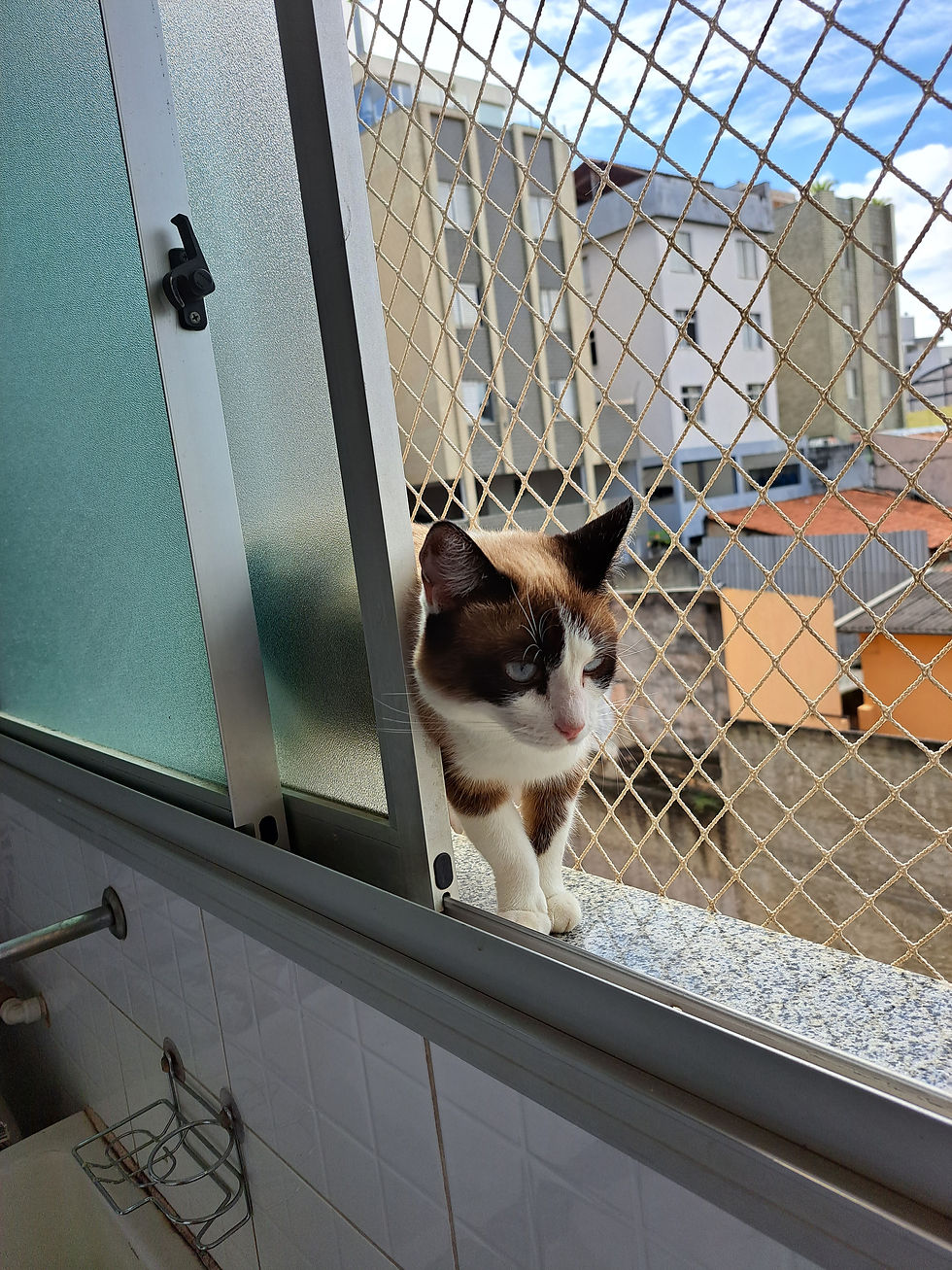 caiçara redes e telas proteção