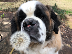 40B8D480-5107-46D3-978D-CA825DD91ABC