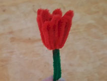 Chenille Stem Tulip