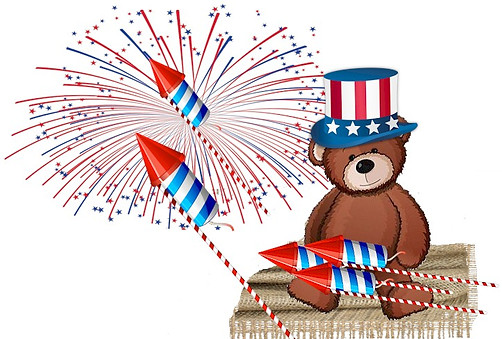 USA Logo