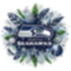 SeahawksAI0016