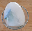 Dinosaur Ice Hatch