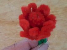 Pipe Cleaner Tulip