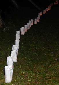 Luminaria Bags