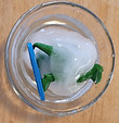 Dinosaur Ice Hatch