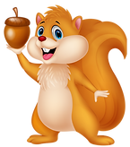 Squirrel Clipart png