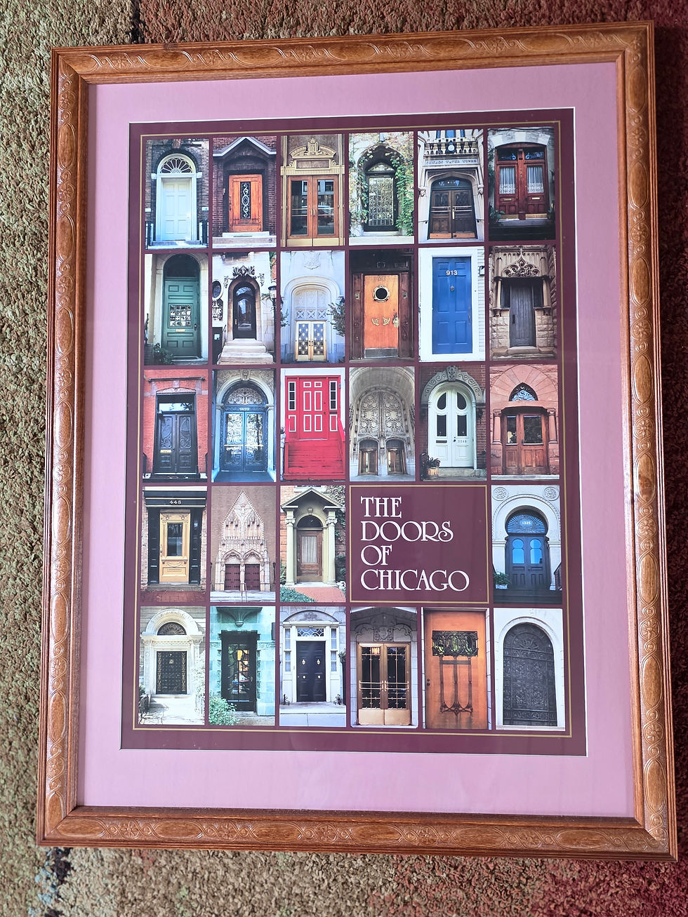 Doors Of Chicago Framed Poster