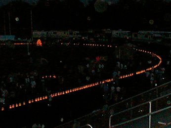 Luminaria Bags