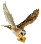 Harry Potter Clipart png owl
