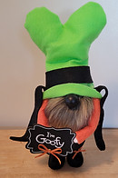 Goofy Gnome