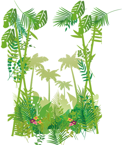 Jungle Background png