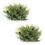 Thumbnail: Cedar Pinecone Half Orb (Set of 2)