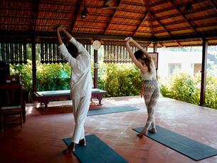 What are the best online yoga classes for beginners?