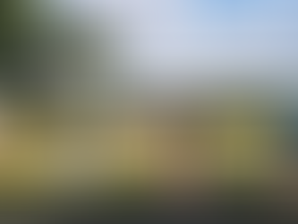 Finding Mental Harmony Through Yoga and Ayurveda