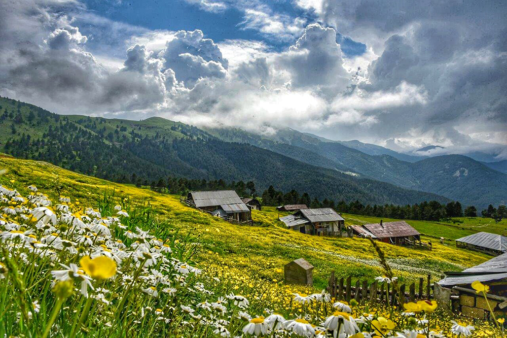 Yayla-Gümüşhane