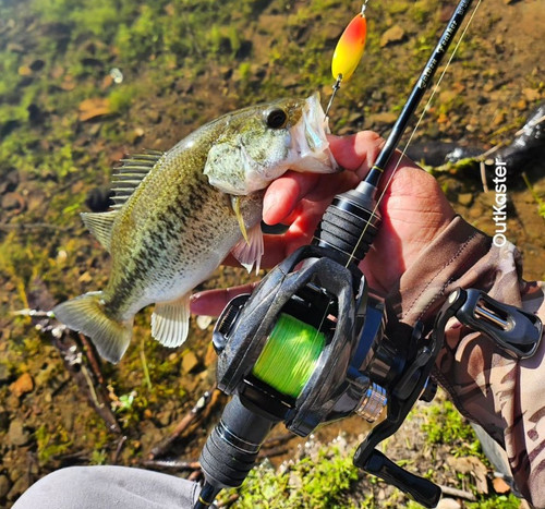 Golden Feather Golden Rods And Reels MFC Galloup's Fish Feathers